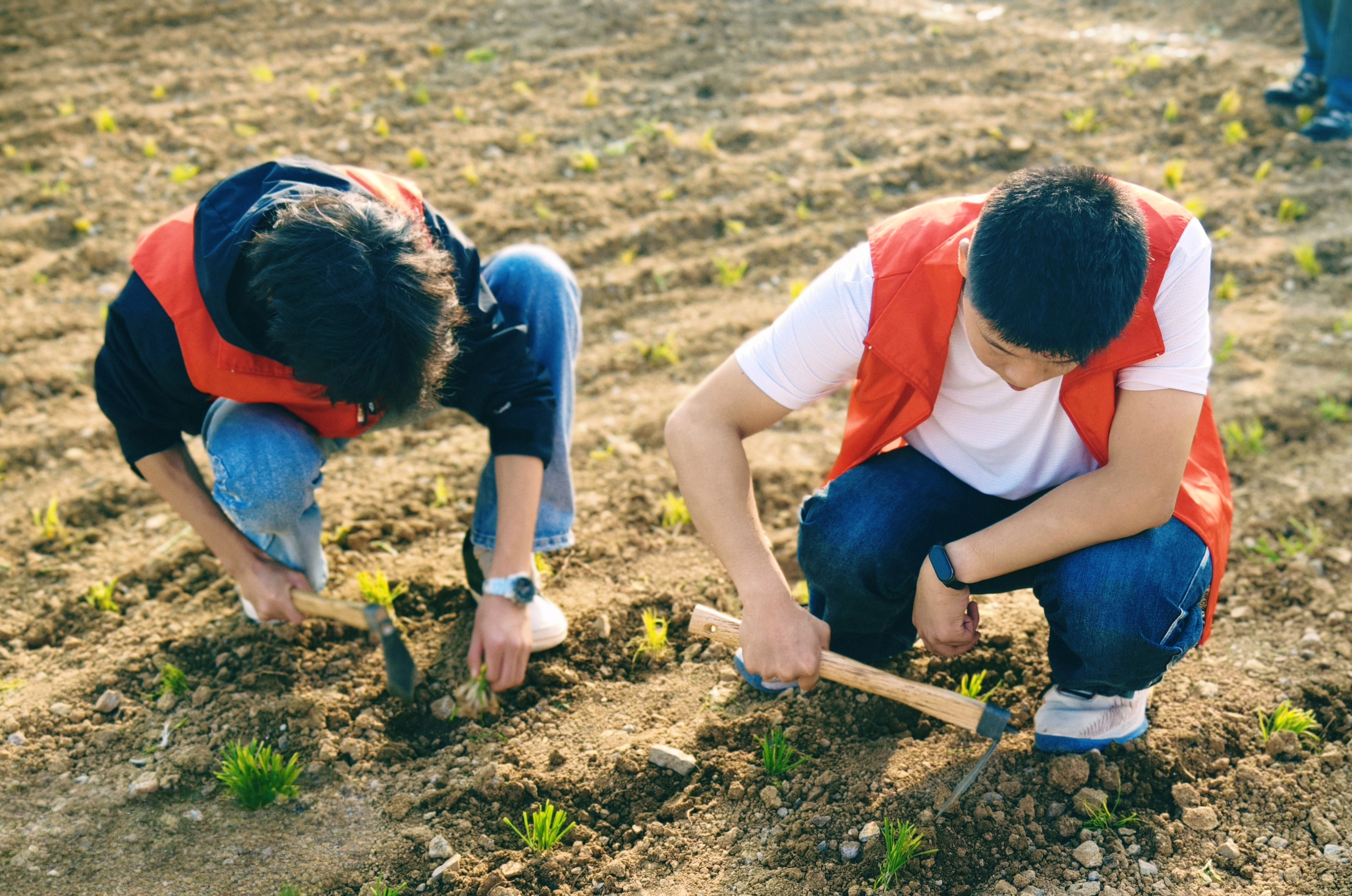 1731374660344229.jpg 1731374660344229.jpg