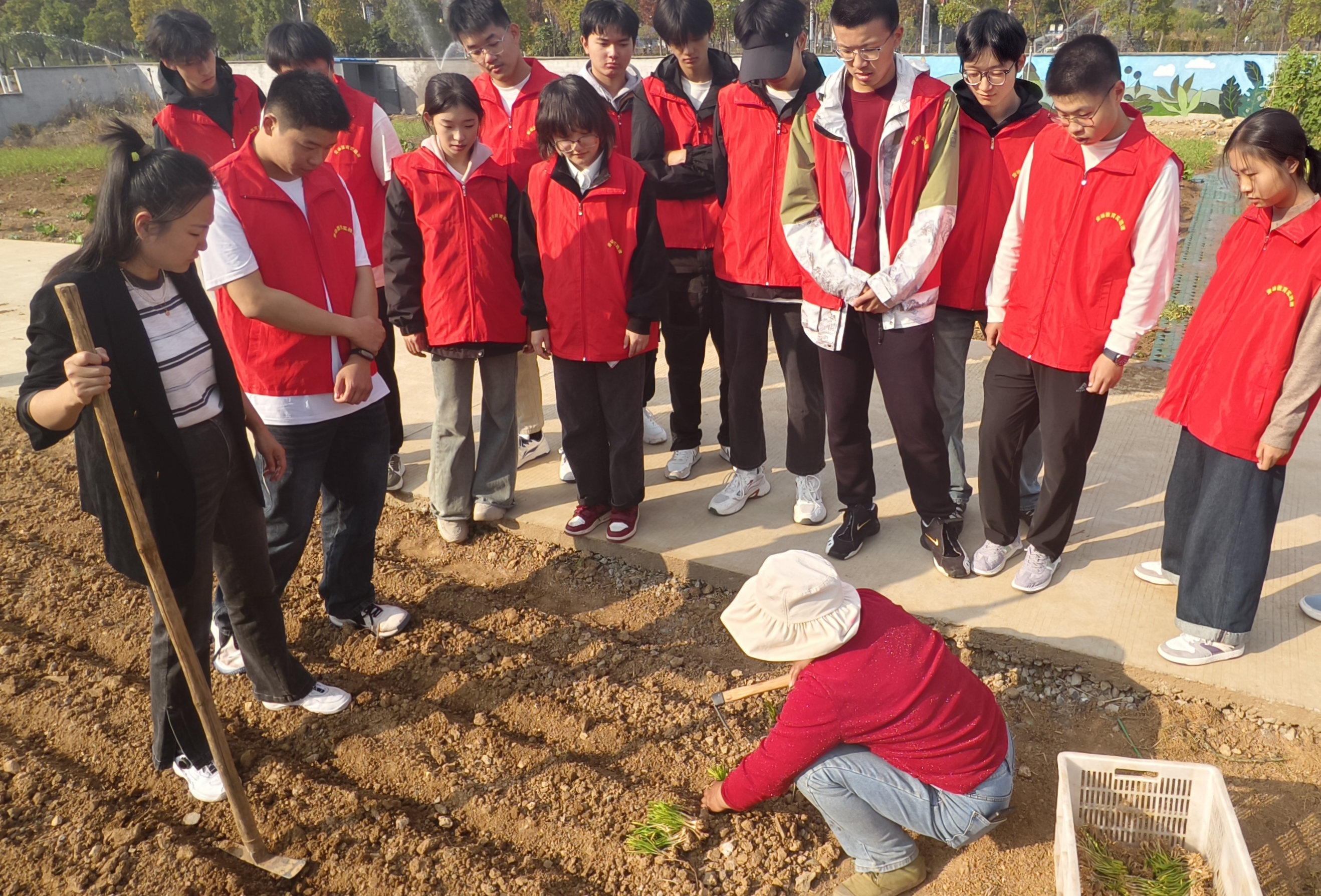 1731374624832310.jpg 1731374624832310.jpg