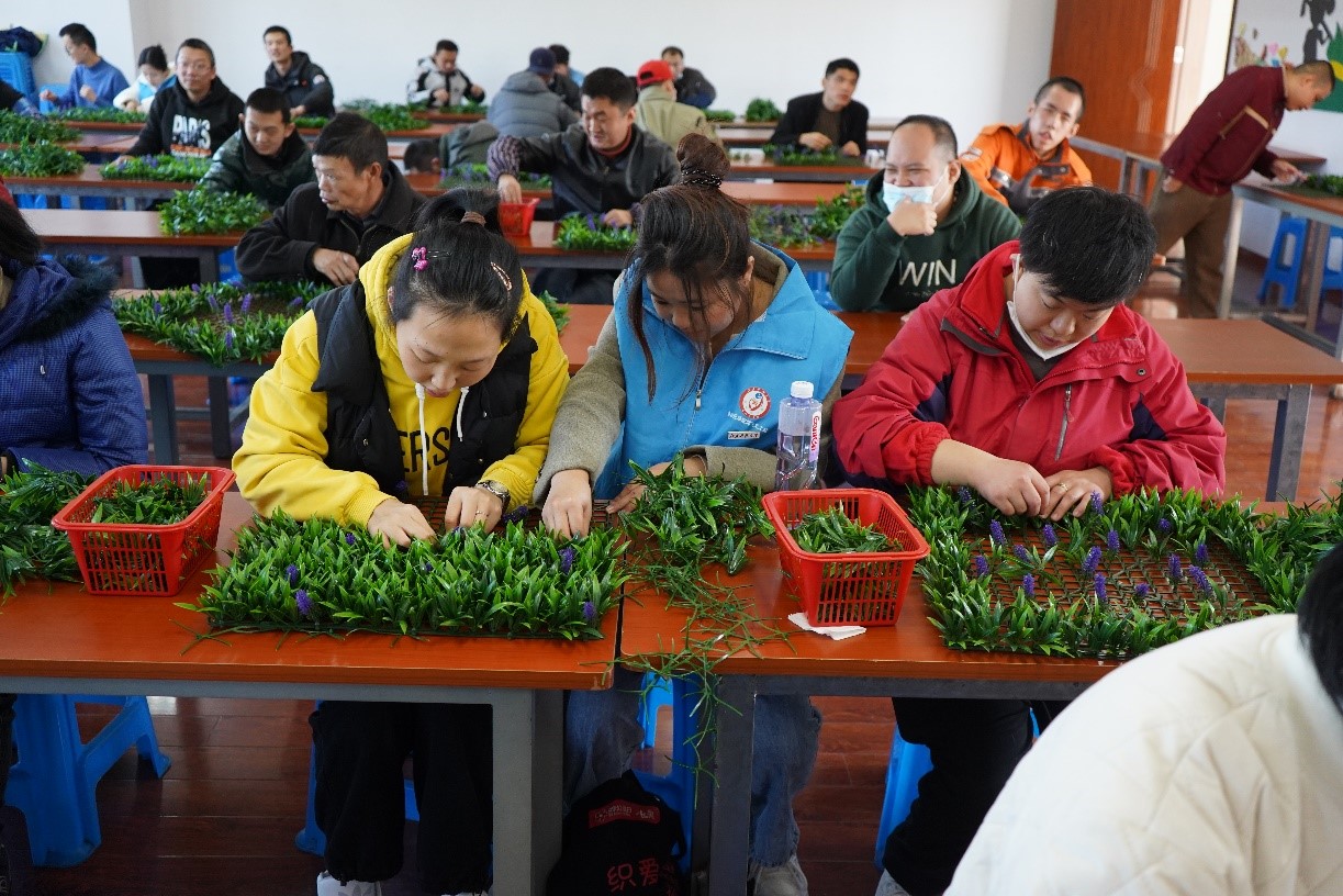 1700709955240521.jpg 图一.jpg