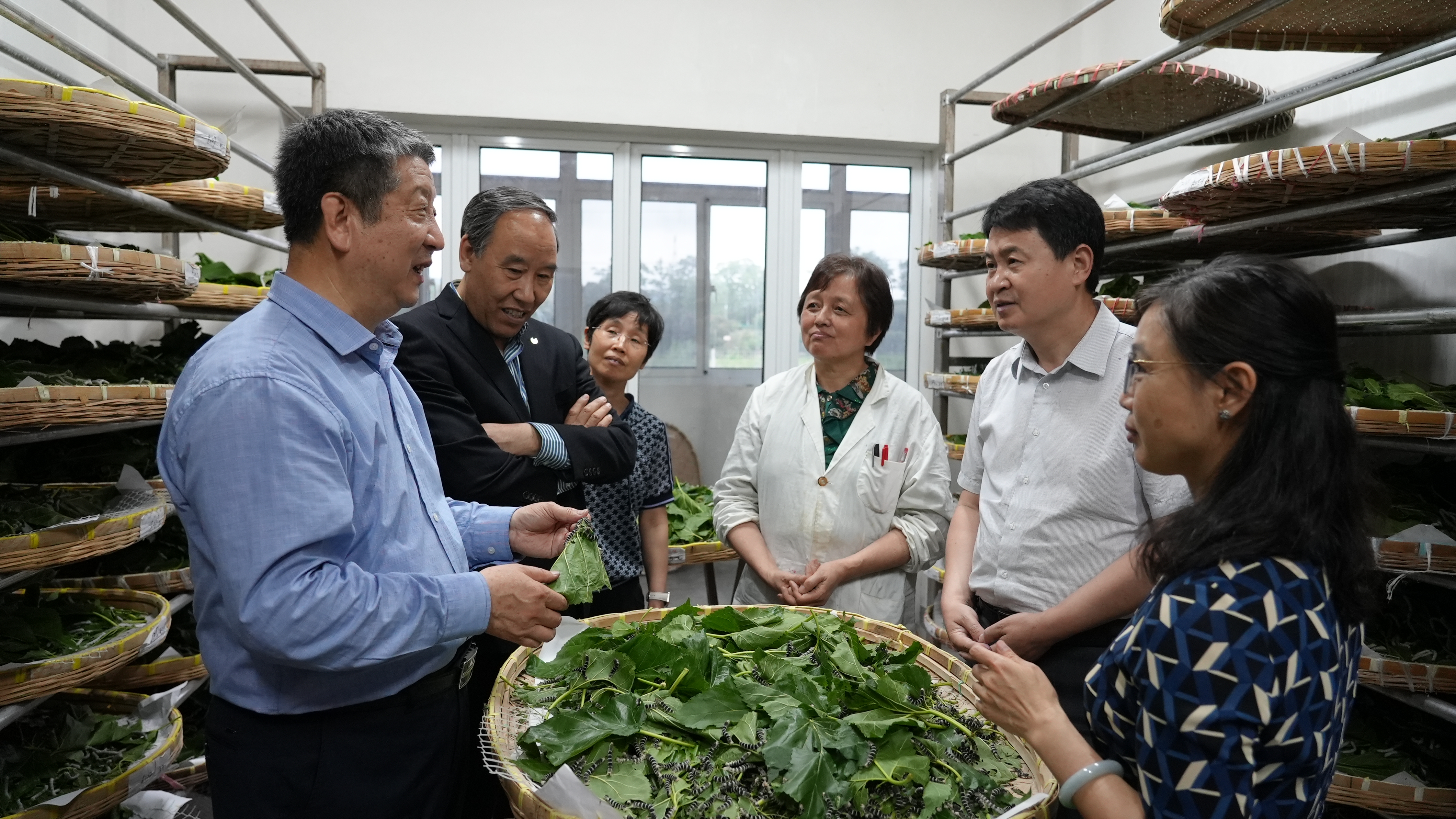 1684596391573588.jpg DSC02352.JPG