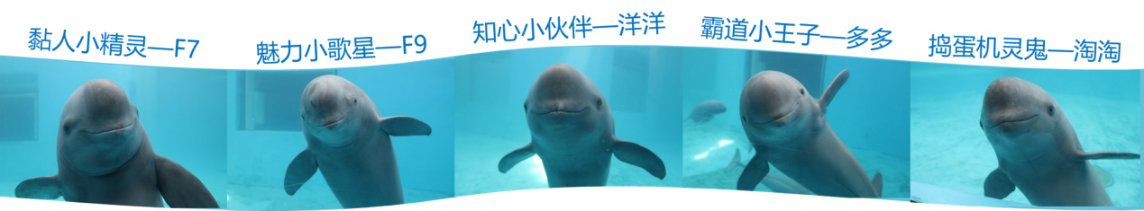 1658627827195225.png 图片3.png