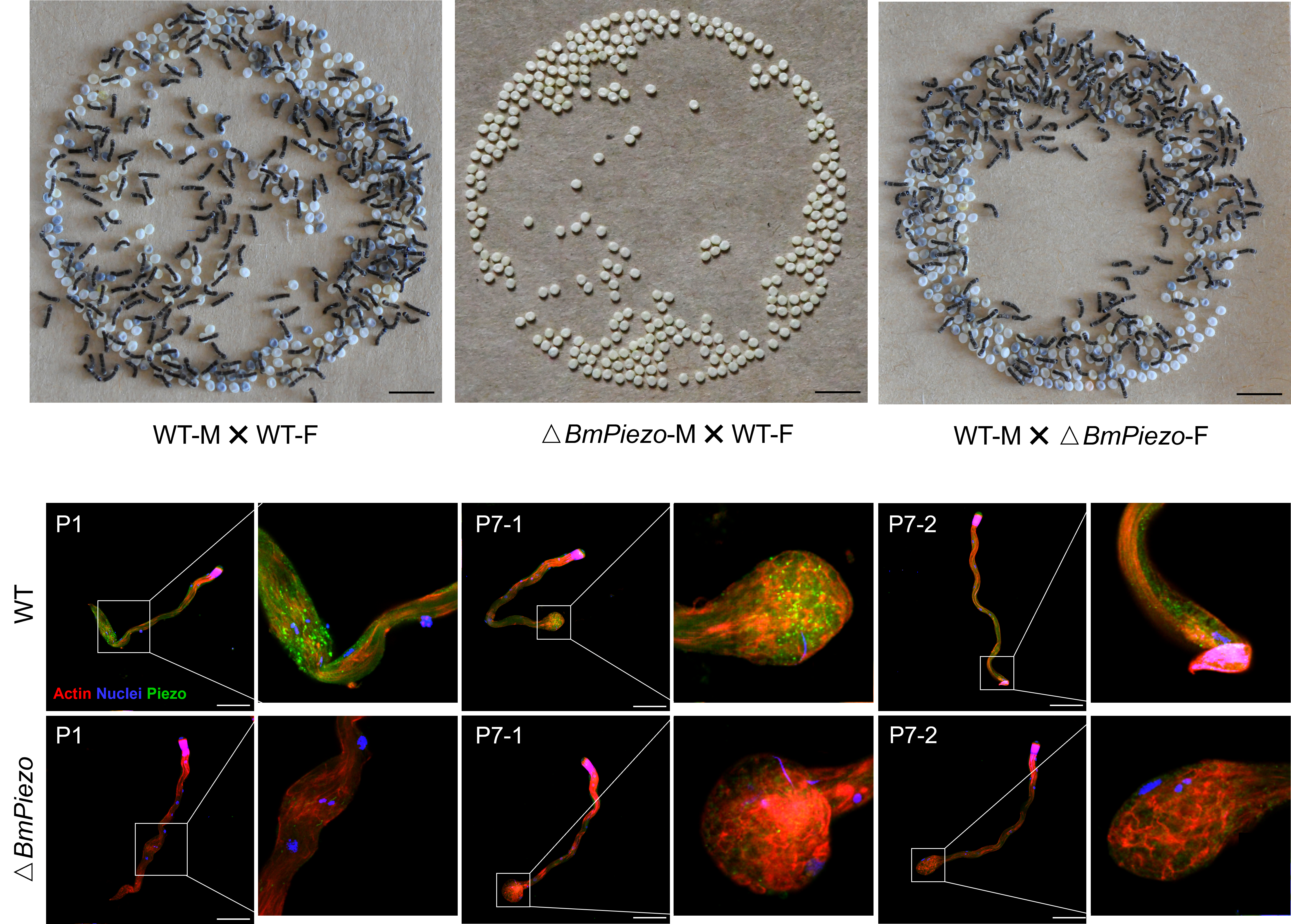 1716339177735163.png 图片2.png