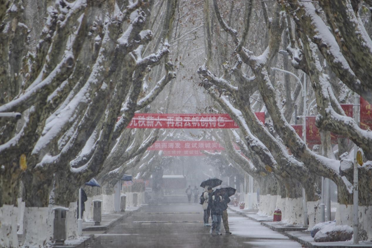 1703045368106362.jpg 图片1.jpg