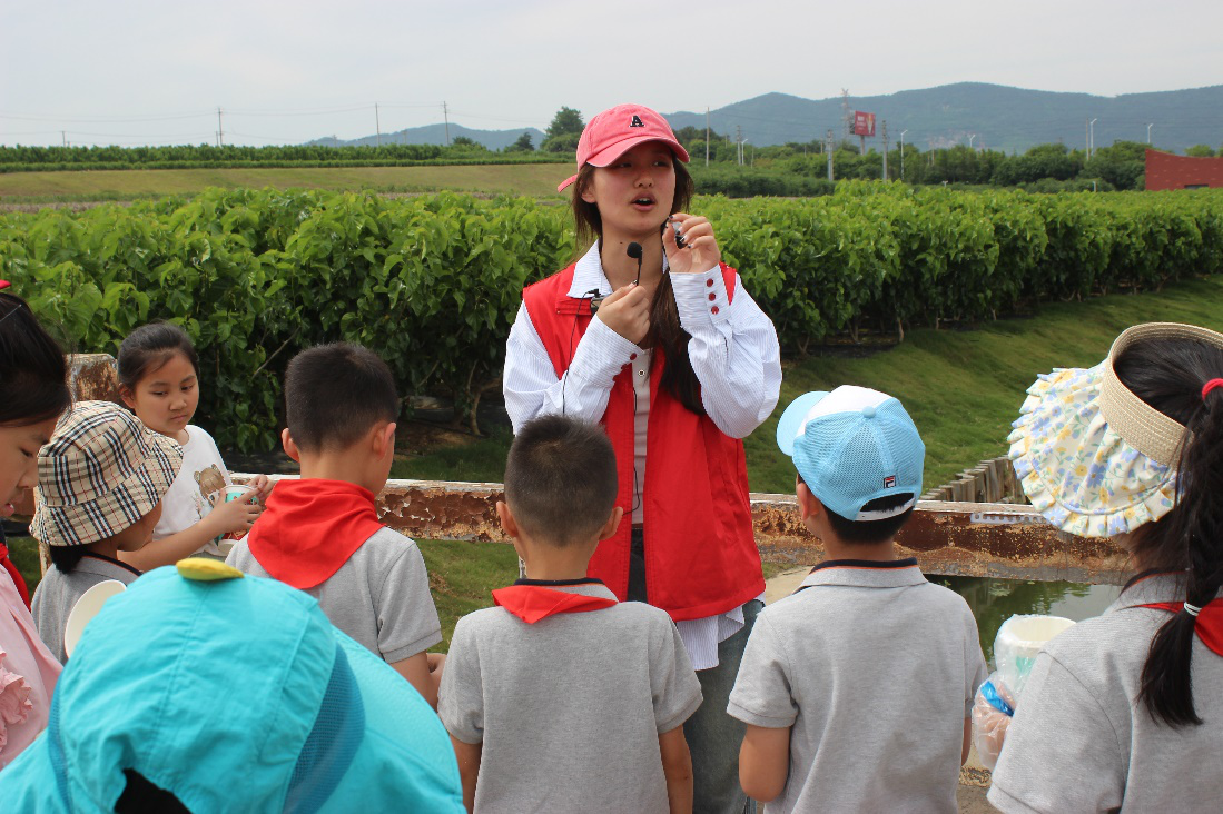 1716346019967317.png 图1.png