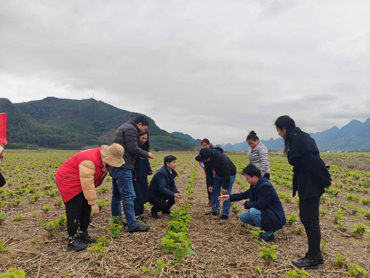 1740528801709740.png 图片3.png