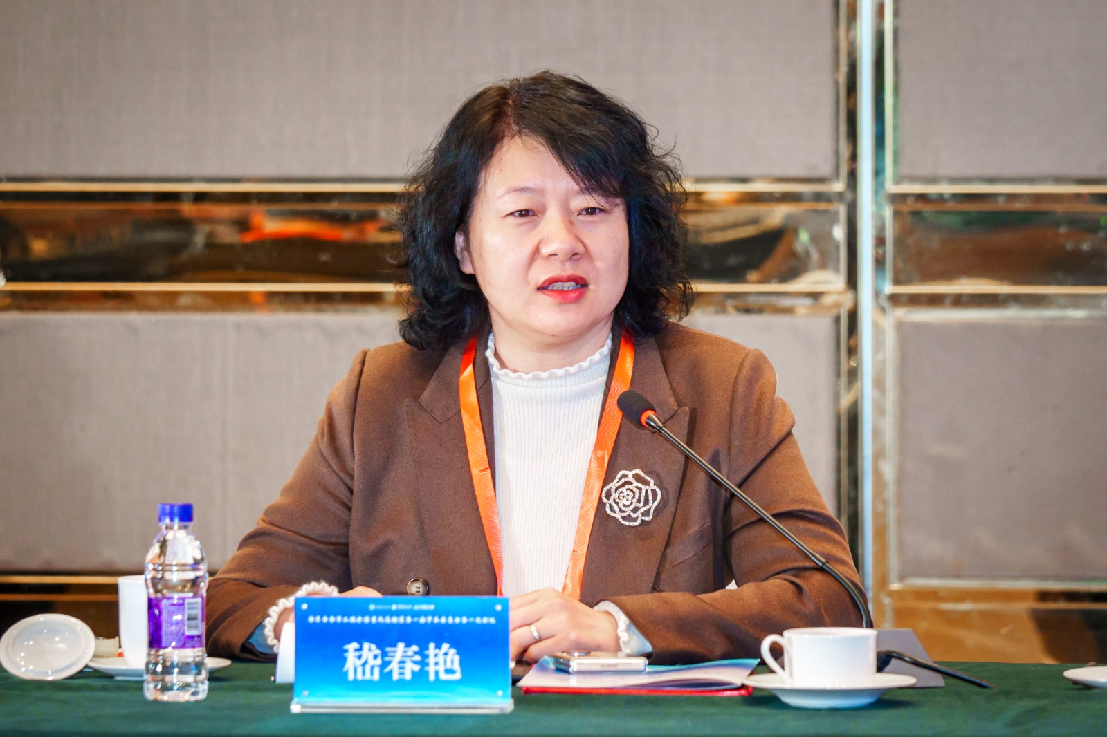 1743668971514376.jpg 嵇春艳校长讲话.jpg