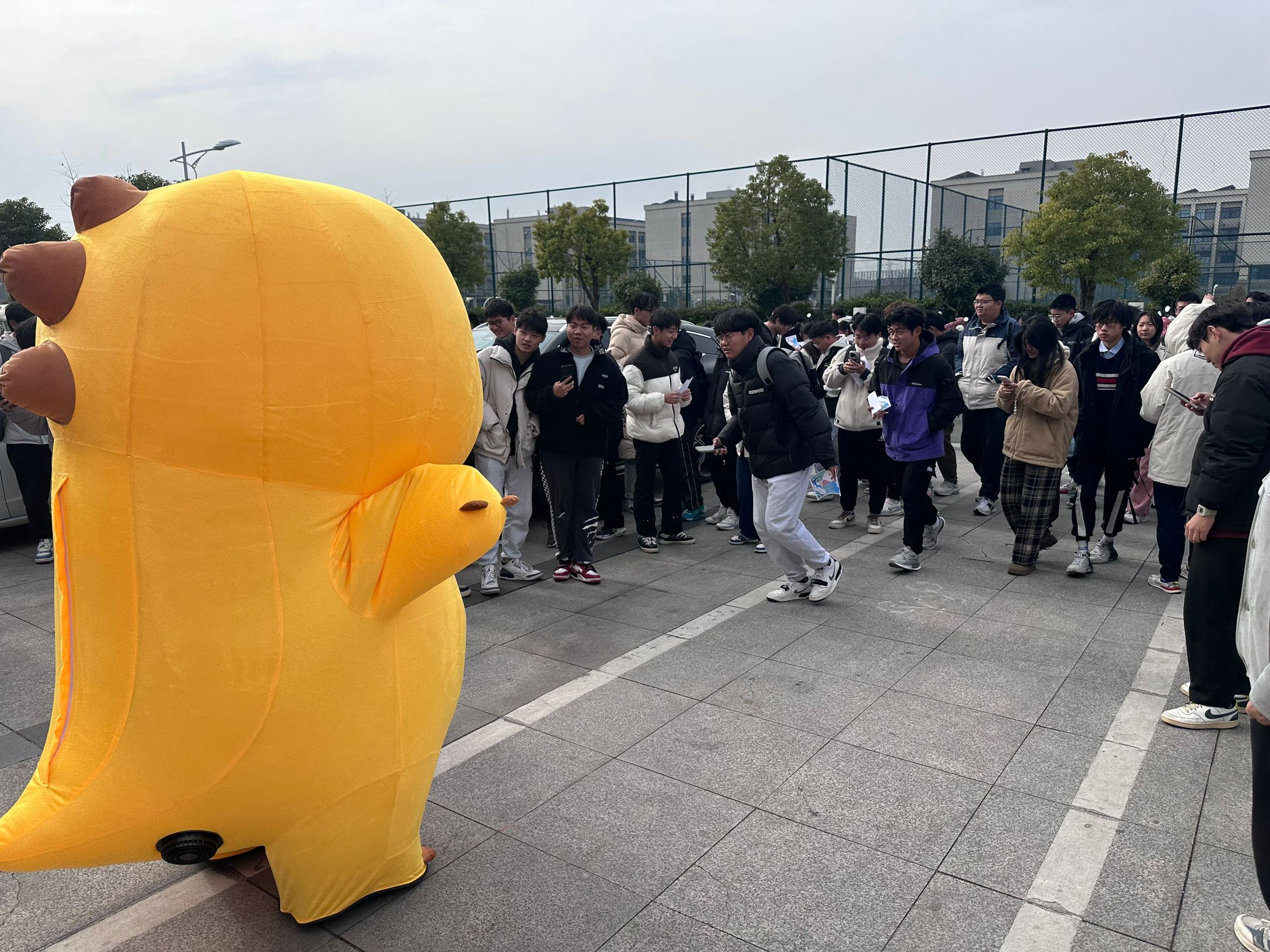 1734603309697797.png 奶龙合影3.png