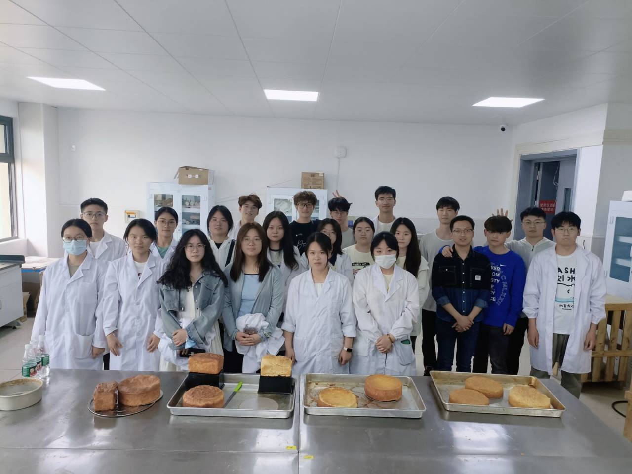 1684494356319792.jpg 1684494356319792.jpg