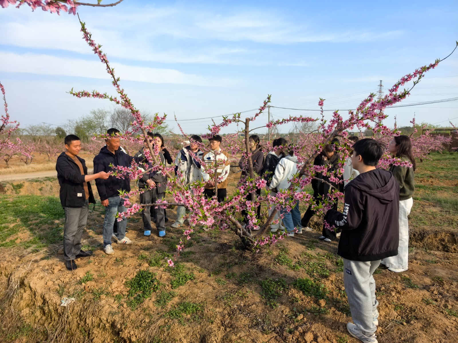 1743561101541752.jpg 5.jpg