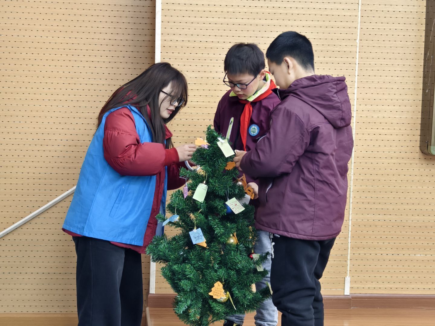 1741658111278684.jpeg 1741658111278684.jpeg