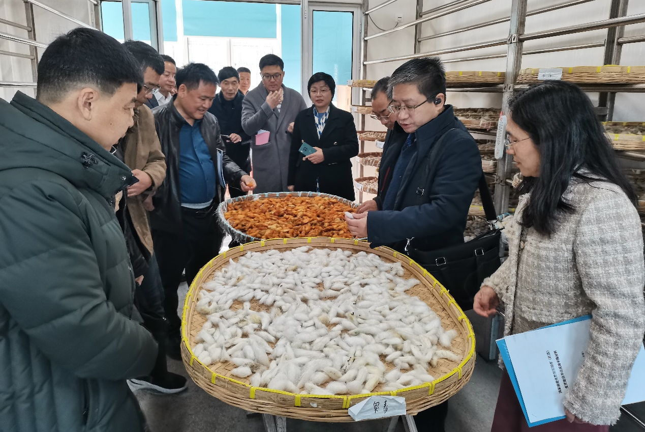 1732949228175523.png 图片3.png