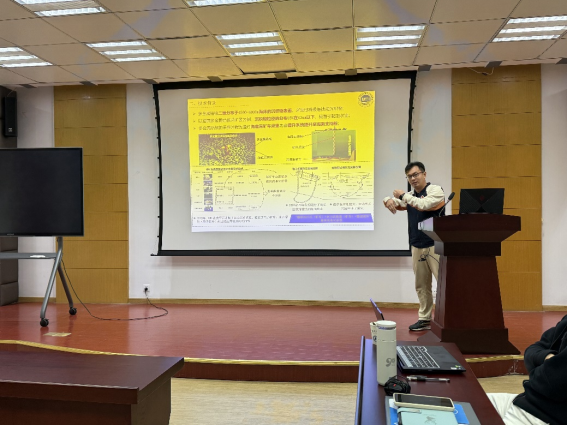 1731470924443479.png image.png