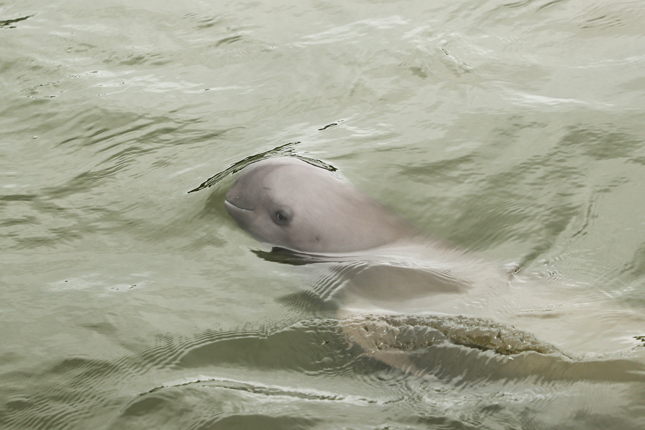 1722648778141095.jpg 03.jpg