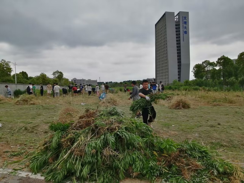 1684465048245084.jpg 261451d2-445d-42f9-bbc5-9cb92df37163.jpg