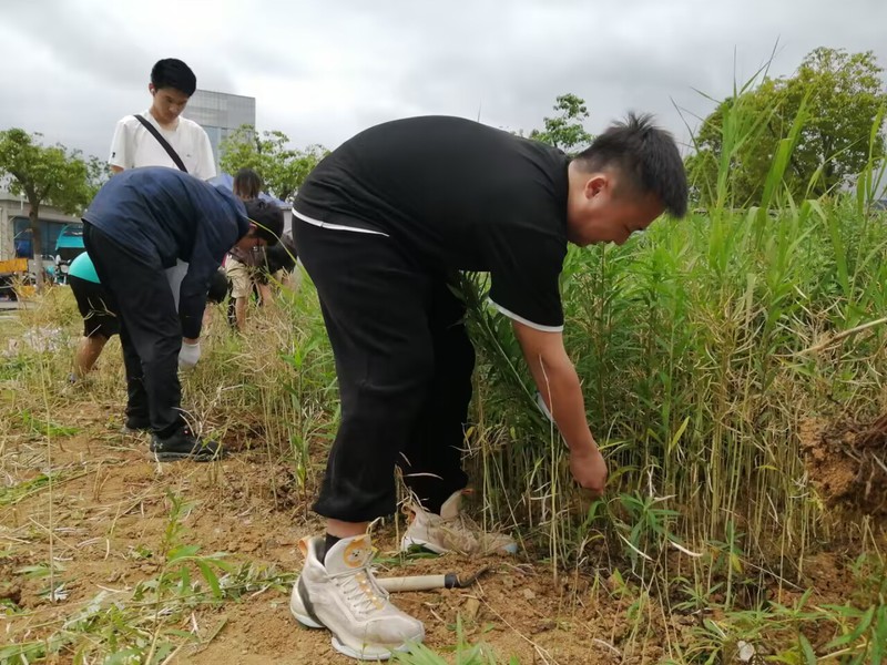 1684465064897785.jpg 750e4c3b-d9b5-4e43-ae36-d07d37b2013a.jpg