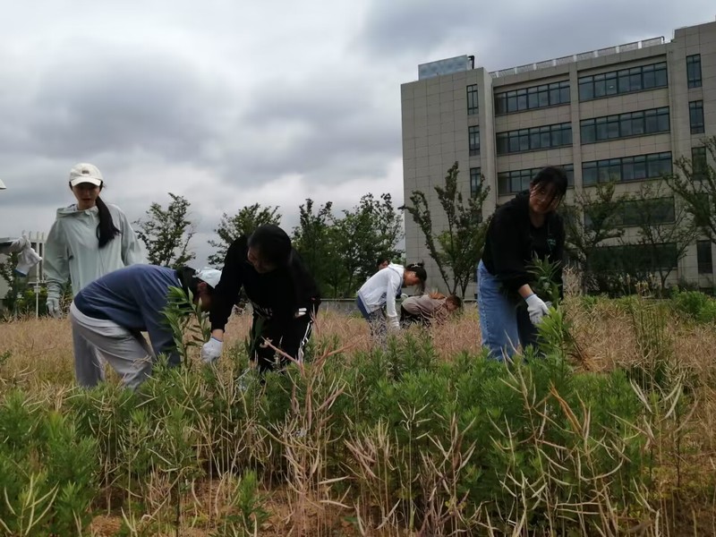 1684465076404408.jpg 6ba1b339-ba9a-4576-a783-65dd4711d598.jpg