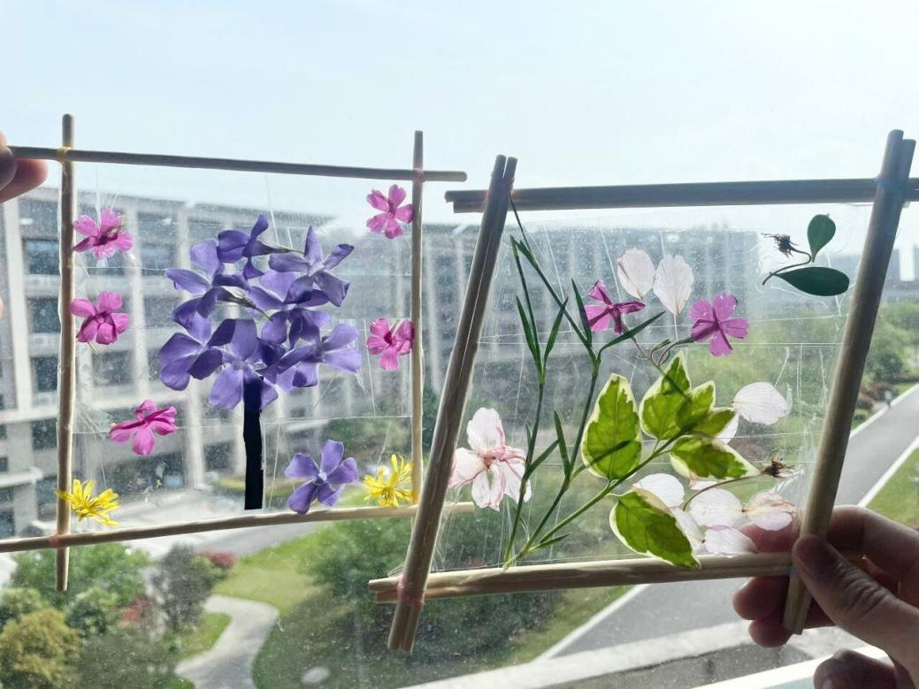 1715349172978223.png 1715349172978223.png