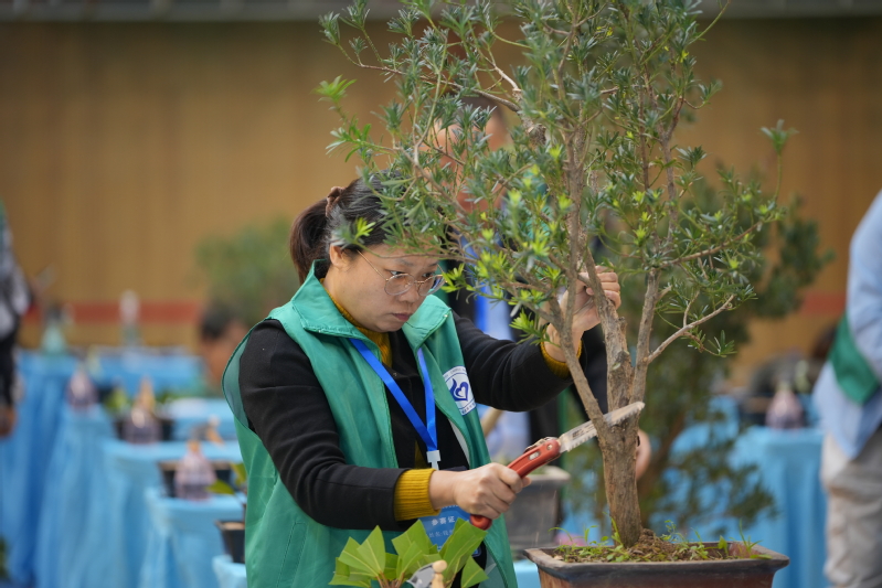 1730455873542859.jpg 5-1.jpg